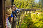 Passengers on Puffing Billy