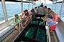 Discover the reef in a glass bottom boat, included in your day