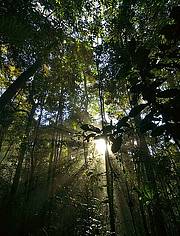 rainforest streams, views and a variety of scenery