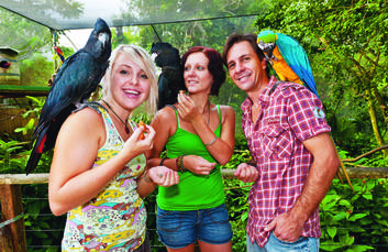 Feeding opportunities at Birdworld Kuranda